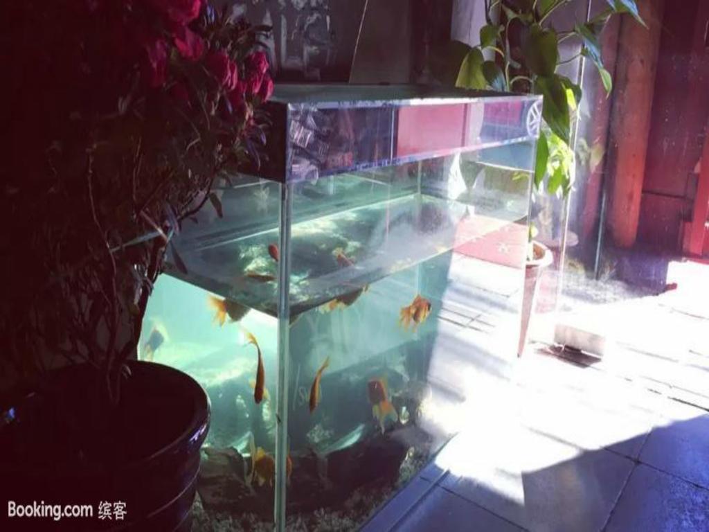 Three Legged Frog Hostel Peking Exteriér fotografie